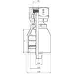 RACCORD UNE PIÈCE FEM BSPP 60° + O'RING 3 / 4" X 3 / 4"